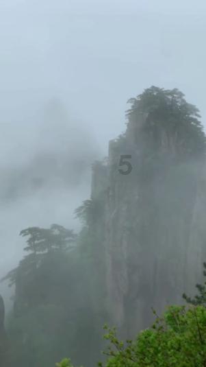 逃离午夜神坛