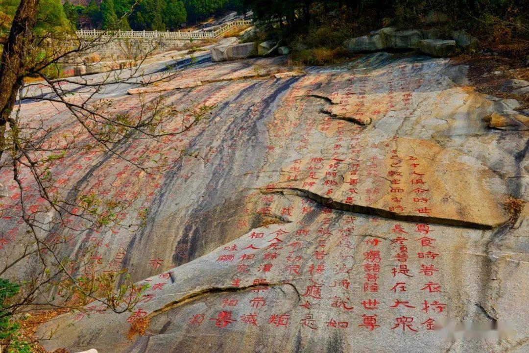 你见过哪些无法破解的当代阳谋？