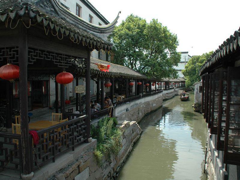 动物帮帮忙保卫家园